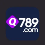 Q789 Game