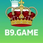 B9 Game Download