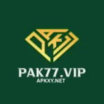 PAK77 Game Apk Download