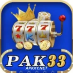 Pak33 Game Download Apk