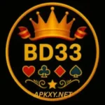 BD33 Game Download