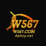 W567 Game Download