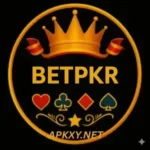 BetPkr Game Download Apk New Earning App Free For Android