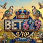 Bet629 Game Download New Official Pakistani Free Earning App
